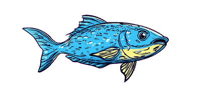 Fish